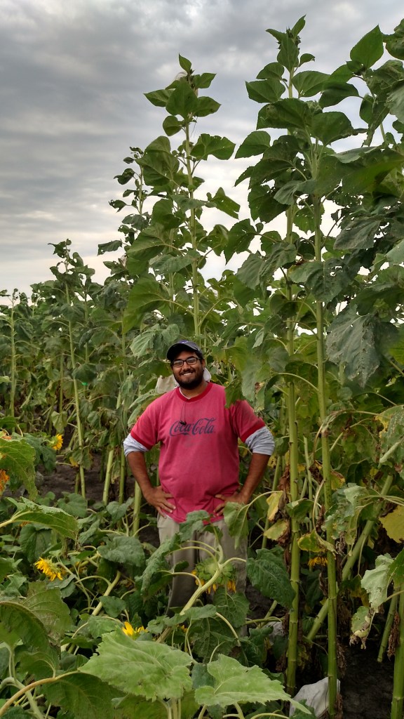 IMG_20150816_120741694_HDR